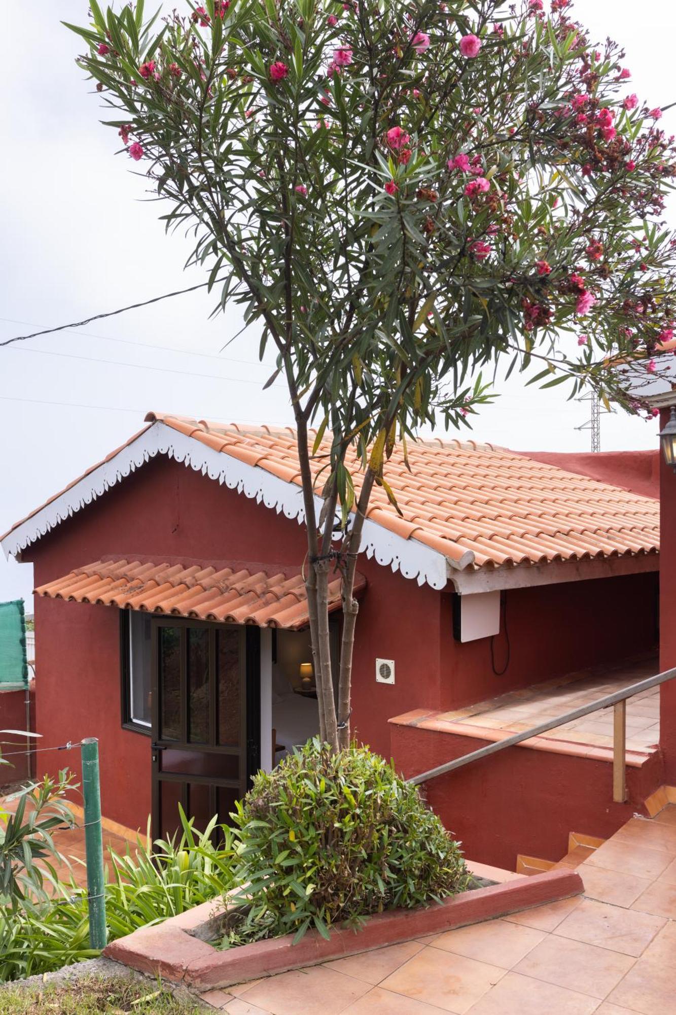 Home2Book Serene Retreat Isabel, Jacuzzi & Garden Icod el Alto エクステリア 写真