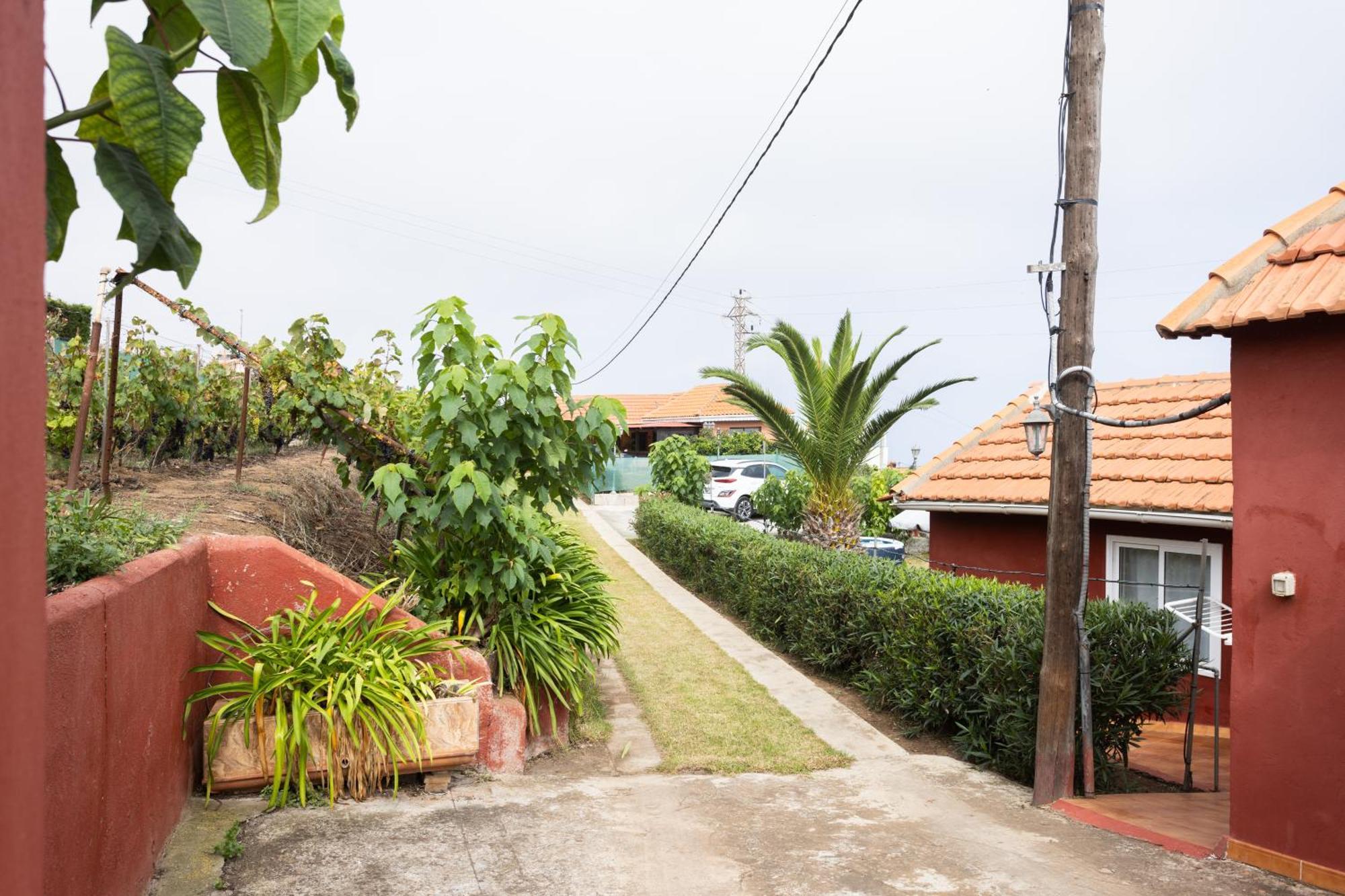 Home2Book Serene Retreat Isabel, Jacuzzi & Garden Icod el Alto エクステリア 写真